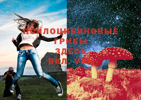 наркотики Карпинск