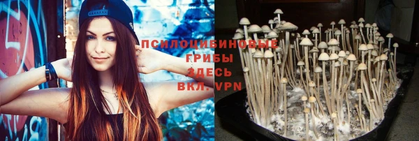 mix Касимов